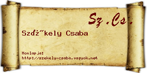 Székely Csaba névjegykártya